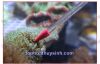 HỘP CHỤP  và BỘ ỐNG DÀI CHO CÁ VÀ SAN HÔ ĂN Red Starfish 35cm + 55cm - anh 1