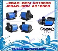 MÁY BƠM NƯỚC 𝗝𝗘𝗕𝗔𝗢 𝗔𝗖-3500, 5000, 6500, 𝟭𝟬𝟬𝟬𝟬,𝟭𝟮𝟬𝟬𝟬