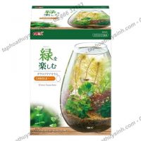 Hồ cá tiểu cảnh thủy tinh - Gex Glass Aquarium Candle