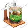 Hồ cá tiểu cảnh thủy tinh - Gex Glass Aquarium Cylinder - anh 4