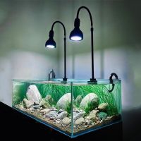 Đèn rọi Focus Light cho bể Biotop thân cao (chiều cao thay đổi) - đèn rọi bể cá cảnh - hồ thủy sinh
