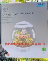 BỘ BÌNH Vivarium OASE BIORB AIR 60- thế kế siêu cấp