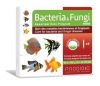 Bacteria & Fungi Fresh - anh 1
