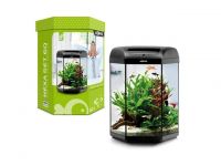 Aquael Hexa Set Aquarium 60