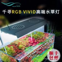 RGB VIVID CHIHIROS LED LIGHTING