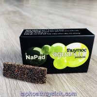 GIÁ THỂ NAPAD CỘT BUCEP