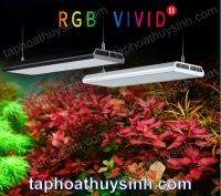 ĐÈN RGB VIVID 2