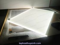 LIGHT SCREEN DET CAO CẤP - BACKROUND ĐÈN NỀN LED SIZE 90 x 50 cm